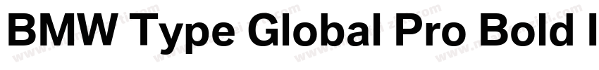 BMW Type Global Pro Bold Italic字体转换